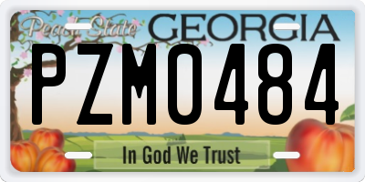 GA license plate PZM0484