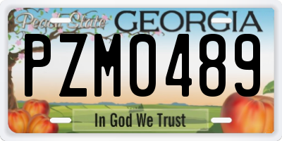 GA license plate PZM0489