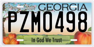GA license plate PZM0498