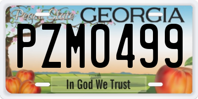 GA license plate PZM0499