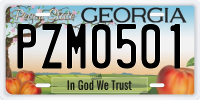 GA license plate PZM0501