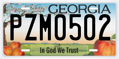 GA license plate PZM0502