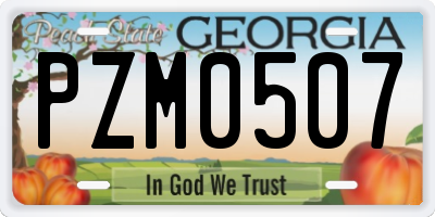 GA license plate PZM0507