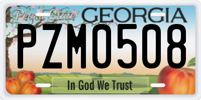 GA license plate PZM0508