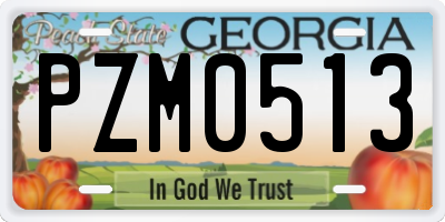 GA license plate PZM0513
