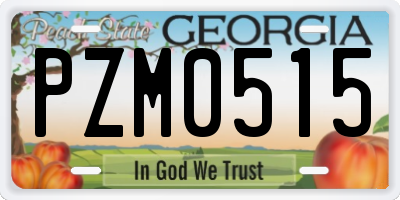GA license plate PZM0515