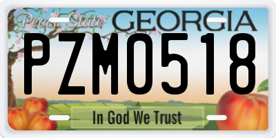 GA license plate PZM0518