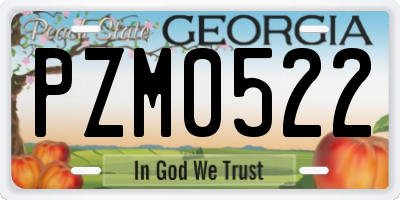GA license plate PZM0522