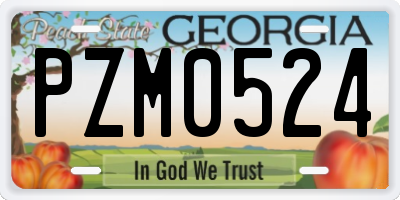 GA license plate PZM0524