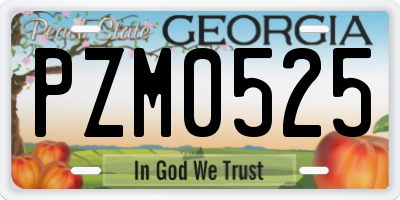GA license plate PZM0525