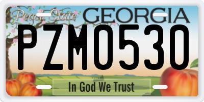 GA license plate PZM0530
