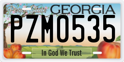 GA license plate PZM0535