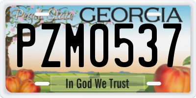 GA license plate PZM0537