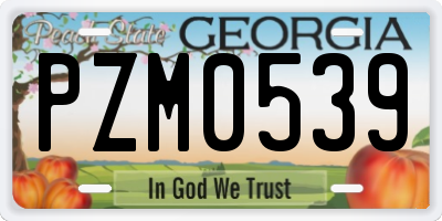 GA license plate PZM0539