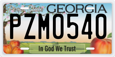 GA license plate PZM0540