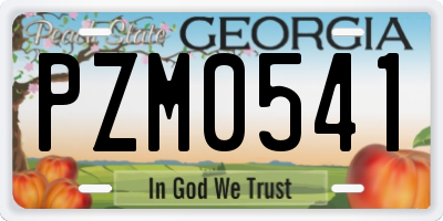 GA license plate PZM0541