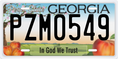 GA license plate PZM0549