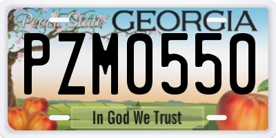 GA license plate PZM0550