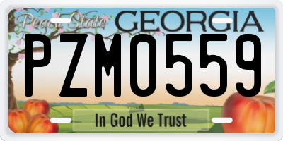 GA license plate PZM0559