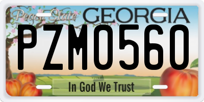 GA license plate PZM0560