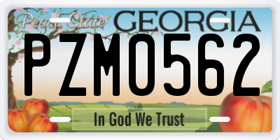 GA license plate PZM0562