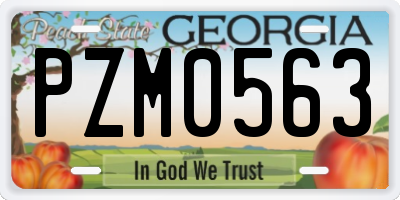 GA license plate PZM0563