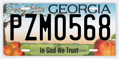 GA license plate PZM0568