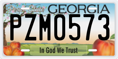 GA license plate PZM0573