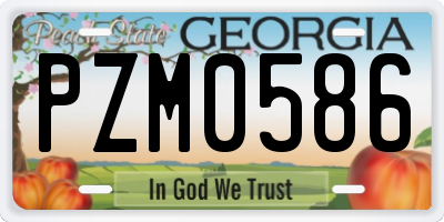 GA license plate PZM0586