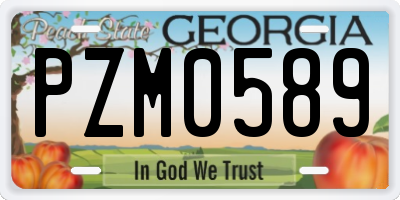 GA license plate PZM0589