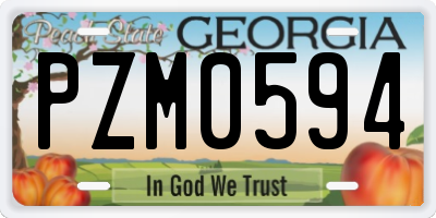 GA license plate PZM0594