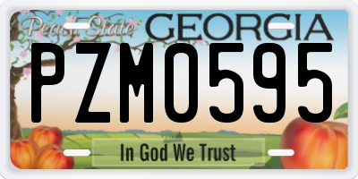 GA license plate PZM0595