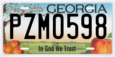 GA license plate PZM0598