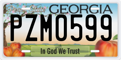 GA license plate PZM0599