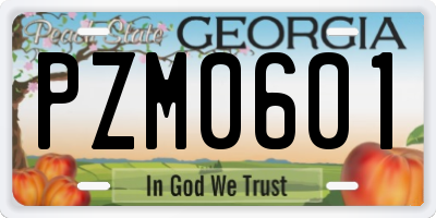 GA license plate PZM0601
