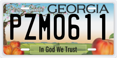 GA license plate PZM0611
