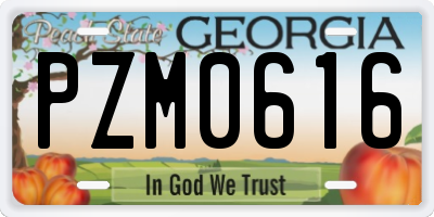 GA license plate PZM0616