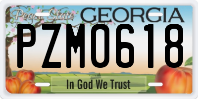GA license plate PZM0618