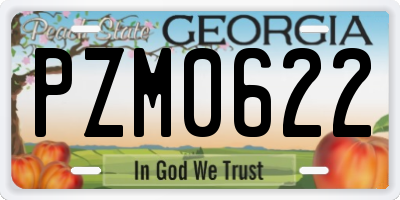 GA license plate PZM0622