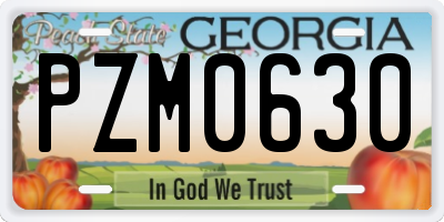 GA license plate PZM0630