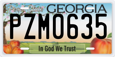 GA license plate PZM0635