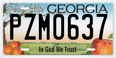 GA license plate PZM0637