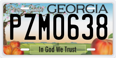 GA license plate PZM0638