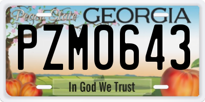 GA license plate PZM0643