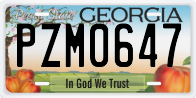 GA license plate PZM0647