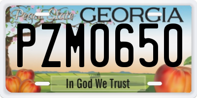 GA license plate PZM0650