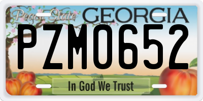 GA license plate PZM0652