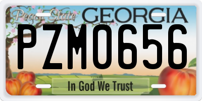 GA license plate PZM0656