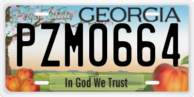 GA license plate PZM0664