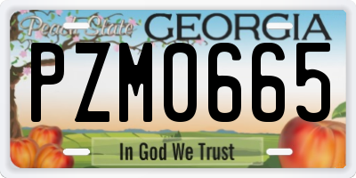 GA license plate PZM0665